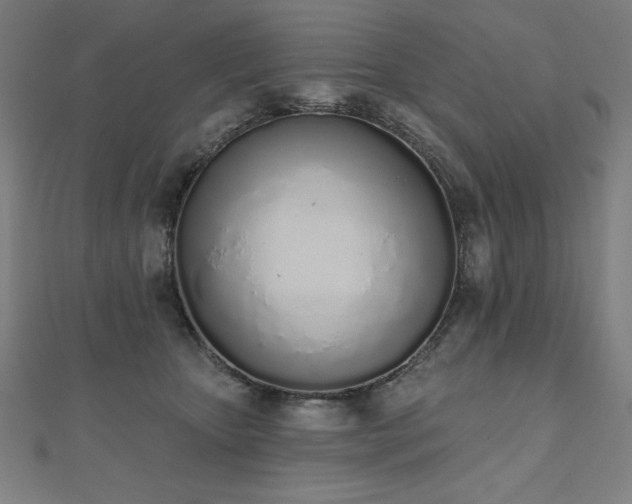 X0000112500467200908171313