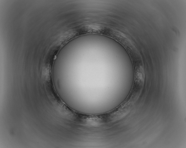 X0000112500468200908171313