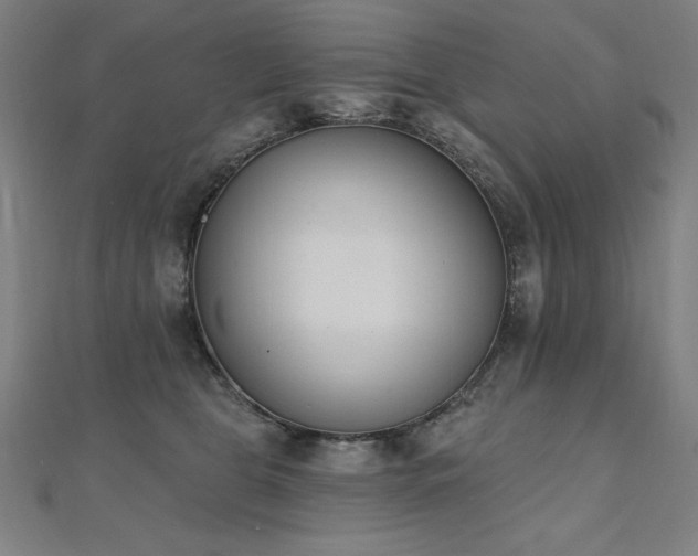 X0000112500469200908171313