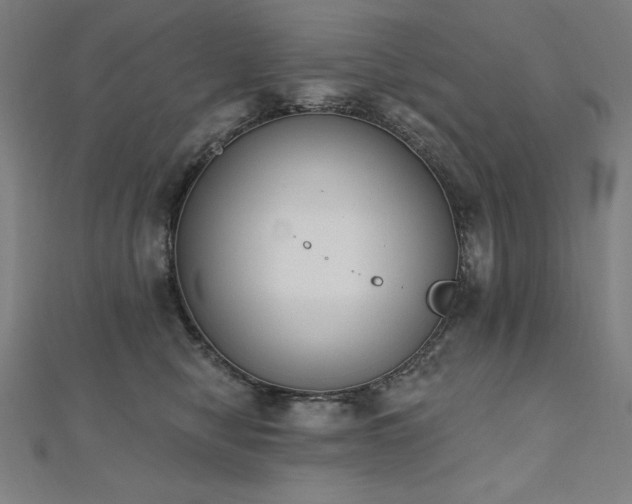 X0000112500470200908171313