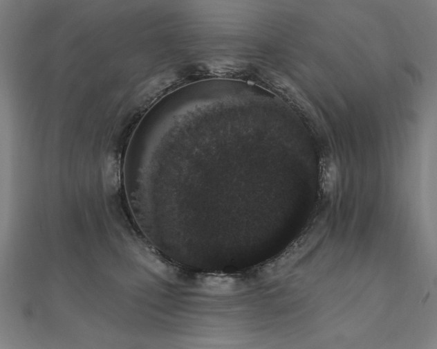 X0000112500471200908171313