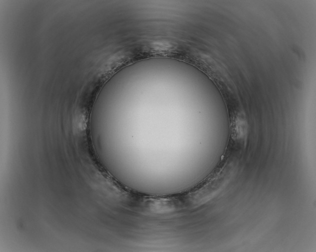 X0000112500472200908171313