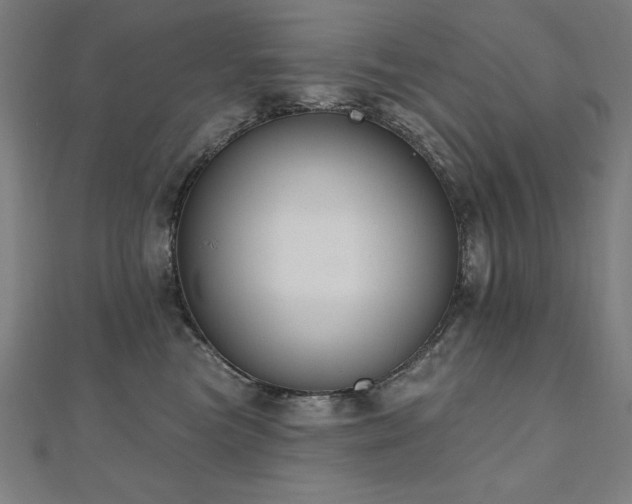 X0000112500473200908171313