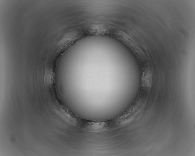 X0000112500474200908171313