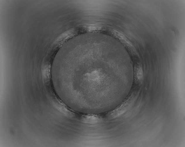 X0000112500475200908171313