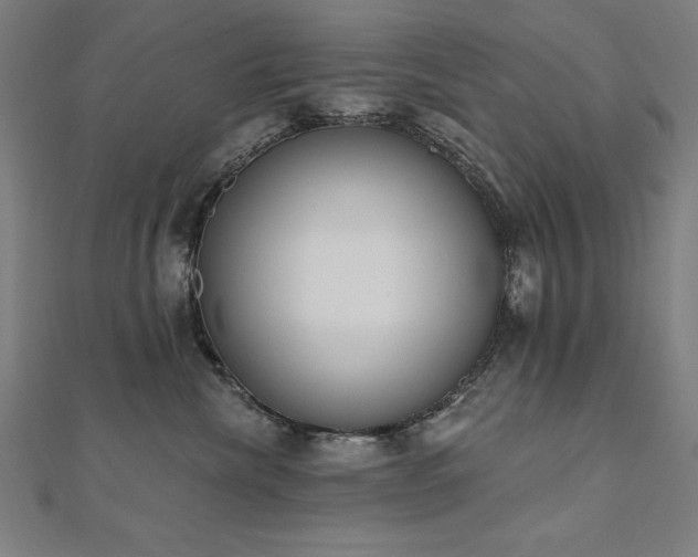 X0000112500476200908171313