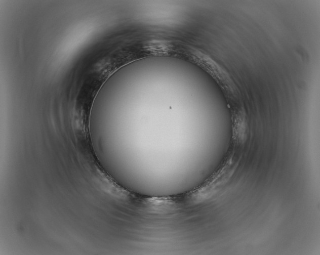 X0000112500477200908171313