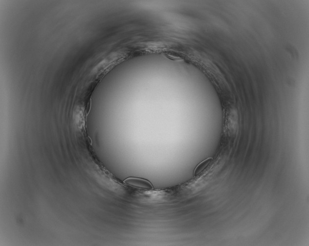 X0000112500478200908171313