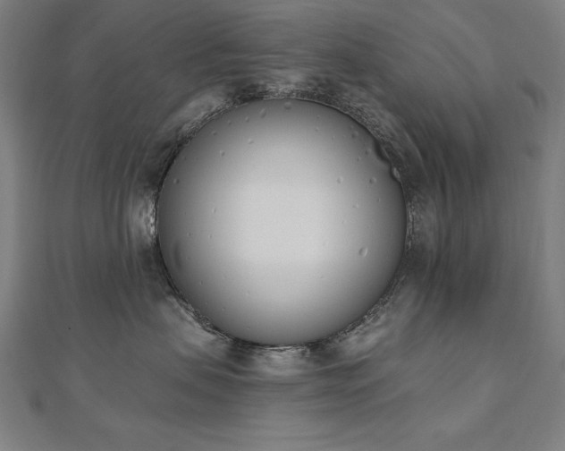 X0000112500479200908171313