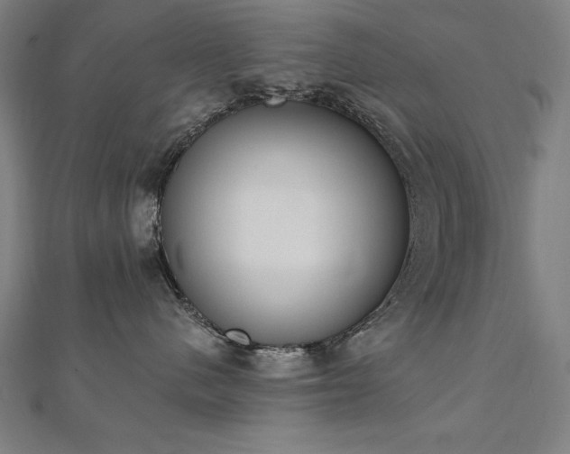 X0000112500480200908171313