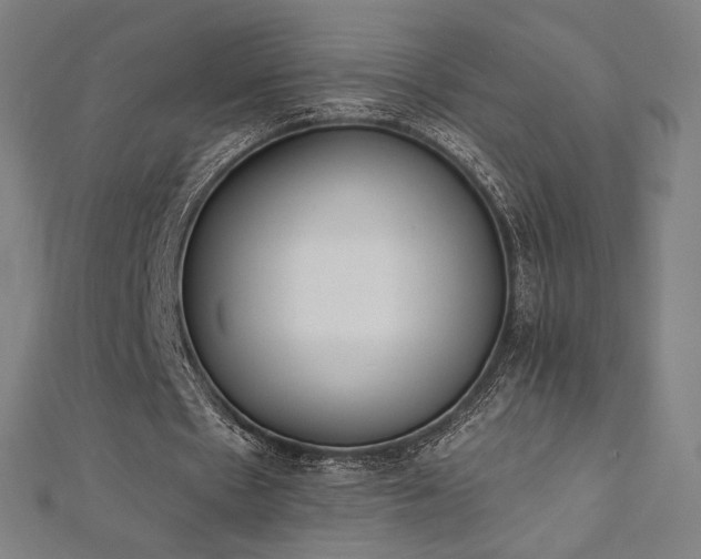 X0000112500481200908171313