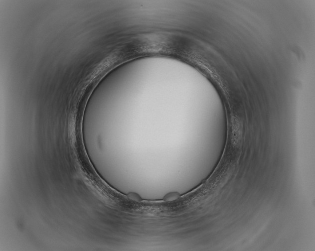 X0000112500482200908171313