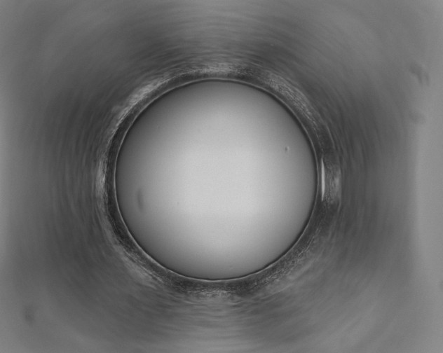 X0000112500483200908171313