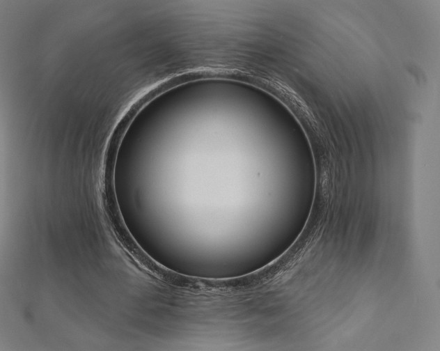 X0000112500484200908171313