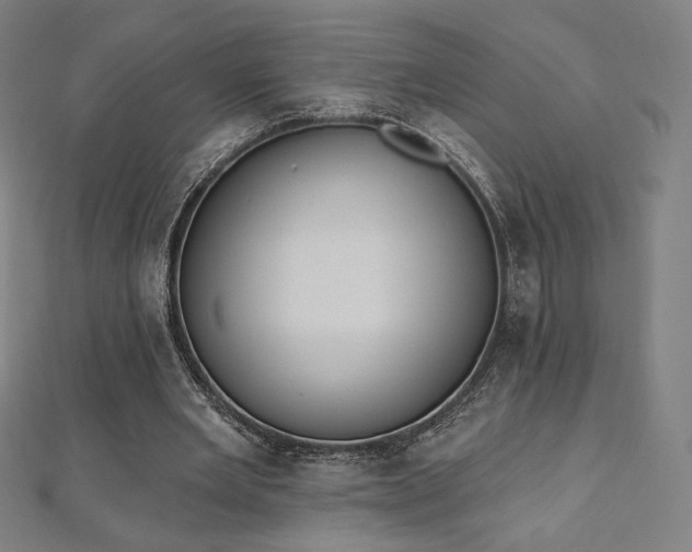 X0000112500485200908171313