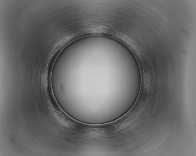 X0000112500486200908171313