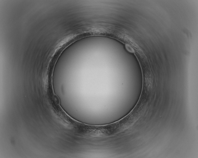 X0000112500488200908171313