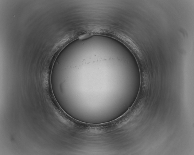 X0000112500489200908171313