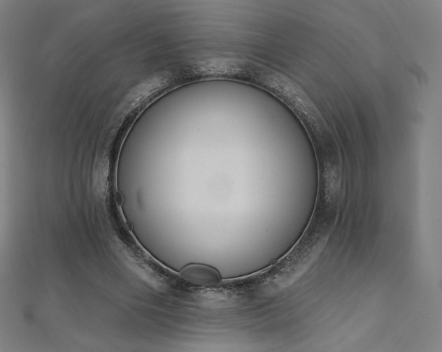 X0000112500490200908171313