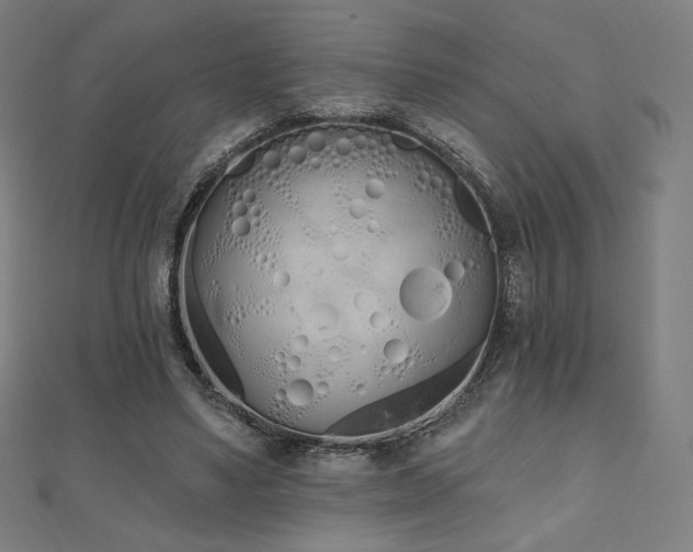 X0000112500491200908171313