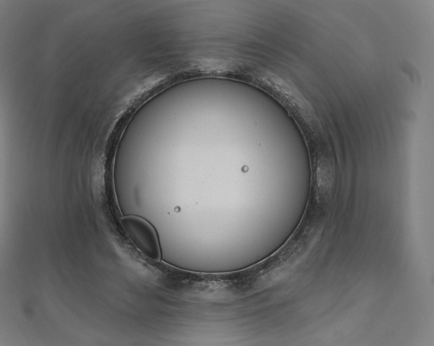 X0000112500492200908171313