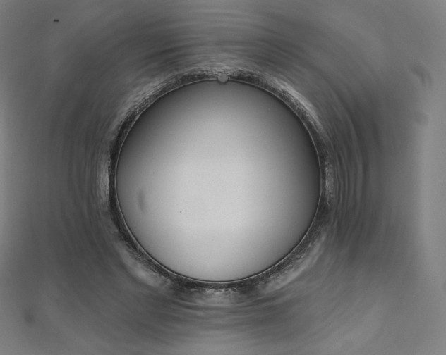 X0000112500493200908171313