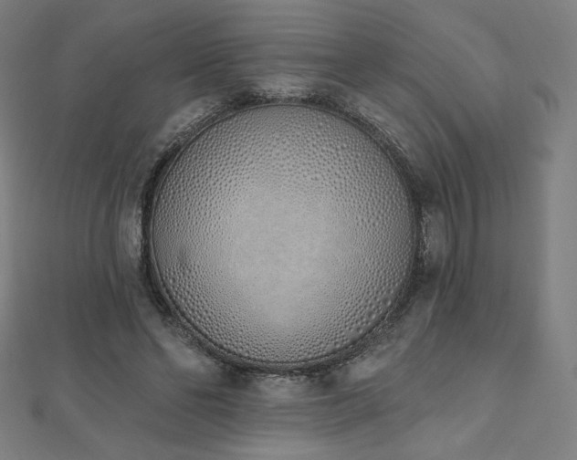 X0000112500494200908171313