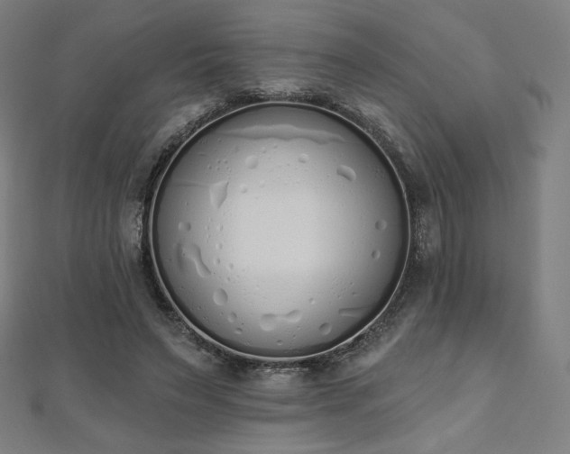 X0000112500495200908171313