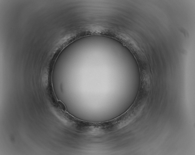 X0000112500496200908171313