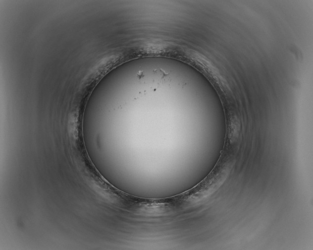 X0000112500497200908171313