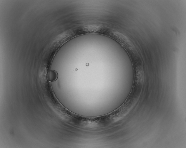 X0000112500498200908171313