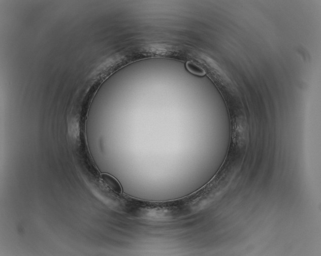 X0000112500500200908171313