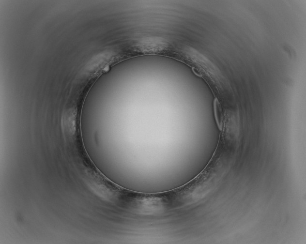 X0000112500501200908171313