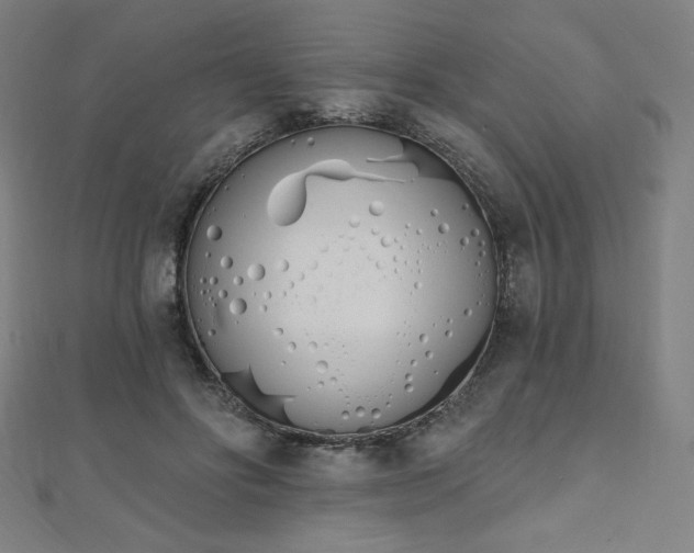 X0000112500502200908171313