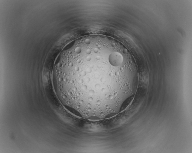 X0000112500503200908171313