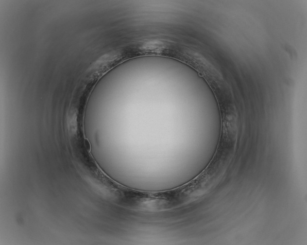 X0000112500504200908171313