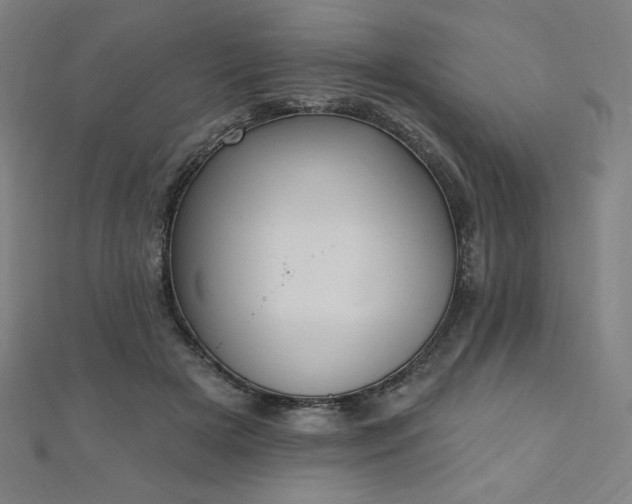 X0000112500505200908171312