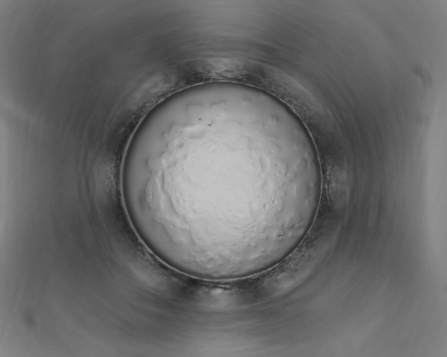 X0000112500506200908171312