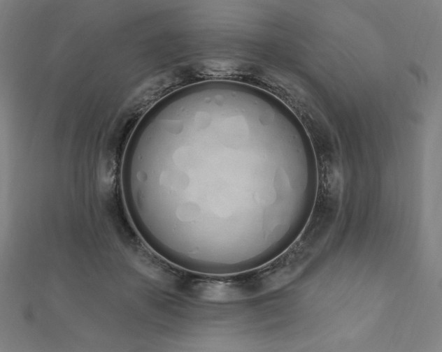 X0000112500507200908171312