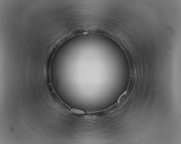 X0000112500508200908171312