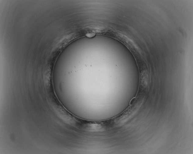 X0000112500509200908171312