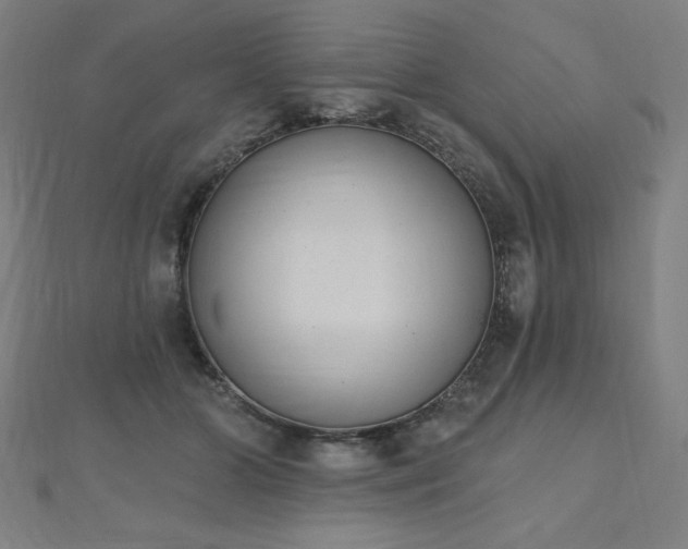 X0000112500510200908171312