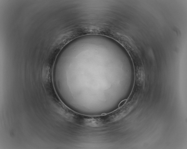 X0000112500511200908171312