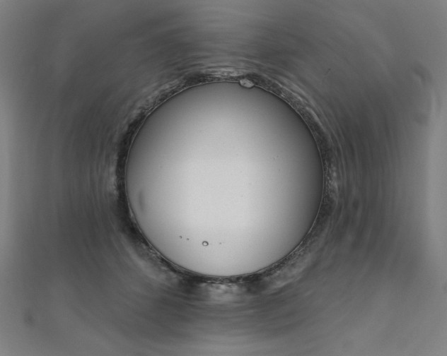 X0000112500512200908171312