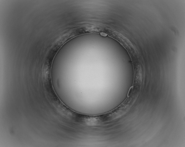 X0000112500513200908171312