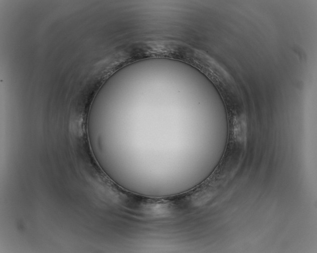 X0000112500514200908171312