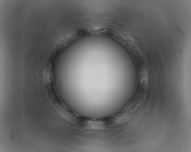 X0000112500515200908171312