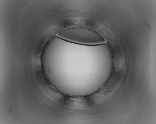 X0000112500516200908171312