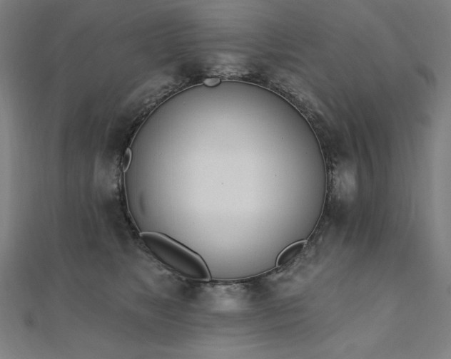 X0000112500517200908171312