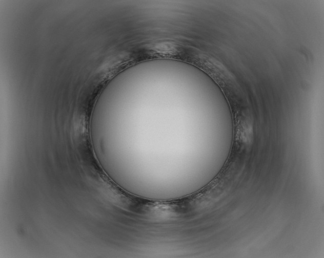 X0000112500518200908171312